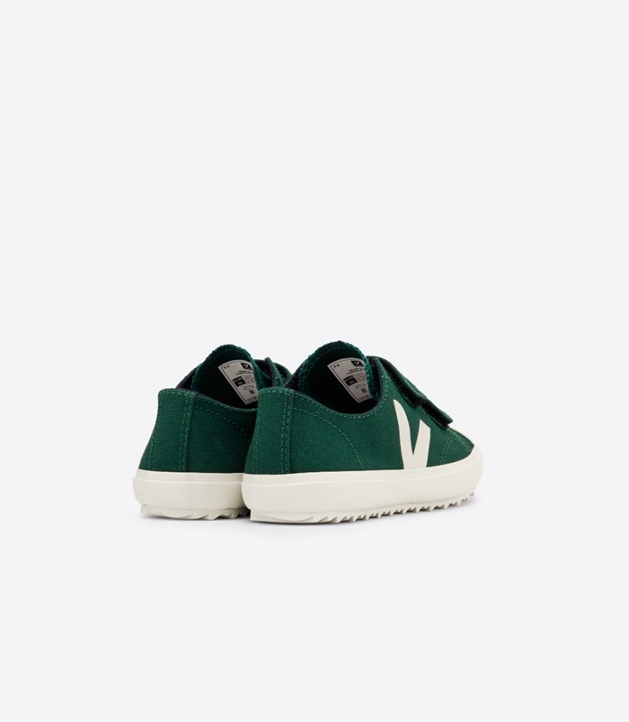 Green Veja Ollie Canvas Poker Pierre Kids' Ollie | TASIK-3896