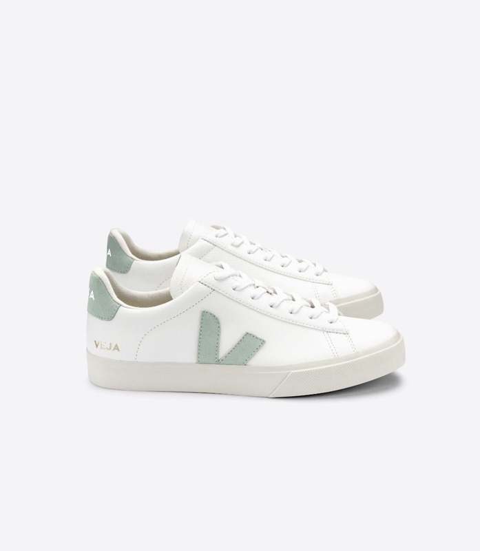 White Veja Chromefree Leather Matcha Men\'s Campo | JNHQO-8413